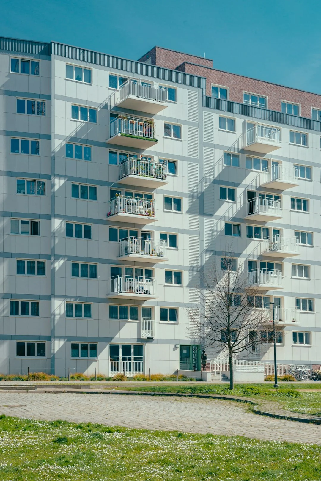 Un couple asiatique s’amuse en faisant le ménage chez eux, créant une ambiance joyeuse.